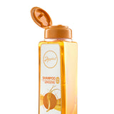 Shampoo con ginseng anyeluz 500ml